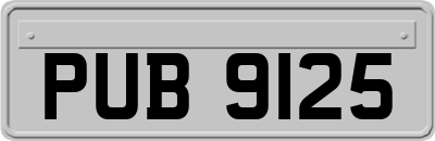 PUB9125