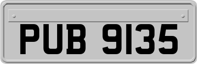 PUB9135
