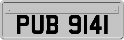 PUB9141