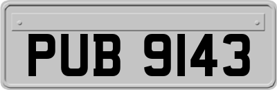 PUB9143
