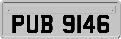 PUB9146