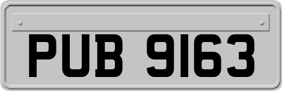 PUB9163