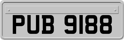 PUB9188