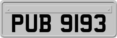 PUB9193