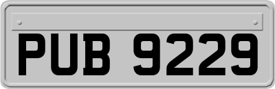 PUB9229