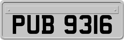 PUB9316