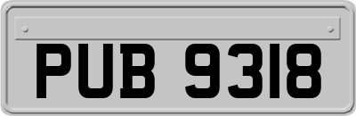 PUB9318
