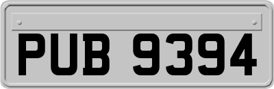 PUB9394
