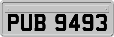 PUB9493