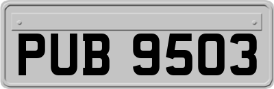 PUB9503