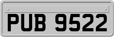 PUB9522