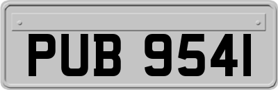 PUB9541