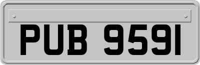 PUB9591