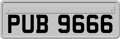 PUB9666