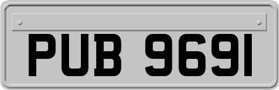 PUB9691