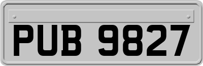 PUB9827