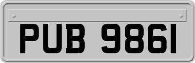 PUB9861