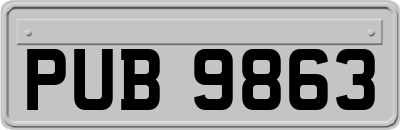 PUB9863
