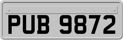PUB9872