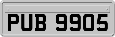 PUB9905