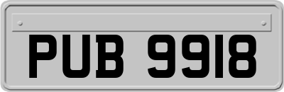 PUB9918