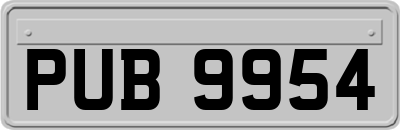 PUB9954