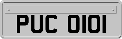 PUC0101