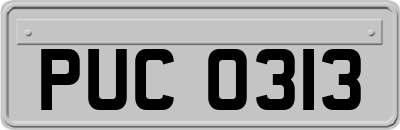 PUC0313
