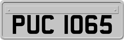 PUC1065