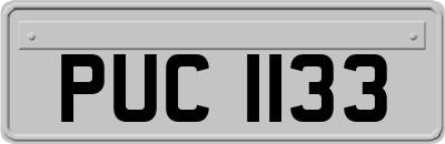 PUC1133