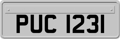 PUC1231