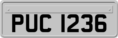 PUC1236