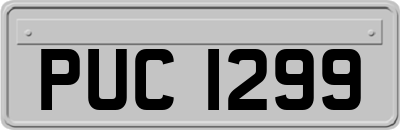 PUC1299