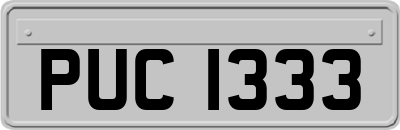PUC1333