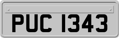 PUC1343