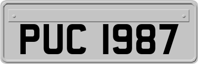 PUC1987