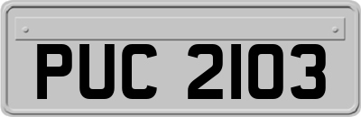 PUC2103