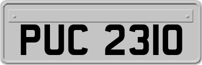PUC2310
