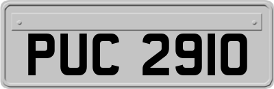PUC2910