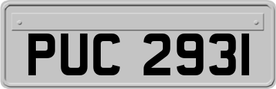 PUC2931