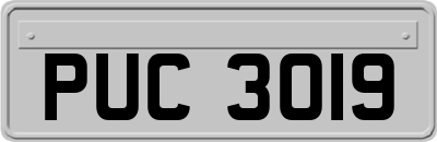 PUC3019