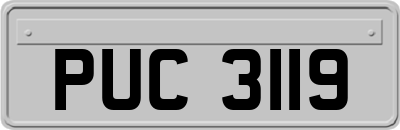 PUC3119