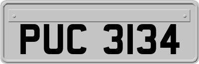 PUC3134