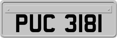 PUC3181