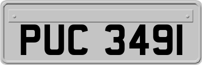 PUC3491