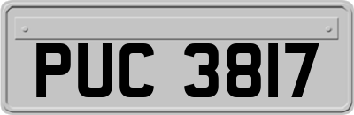 PUC3817