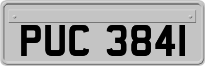 PUC3841