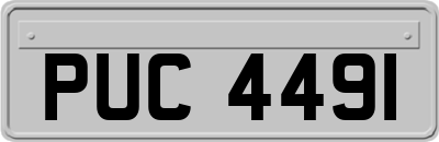 PUC4491