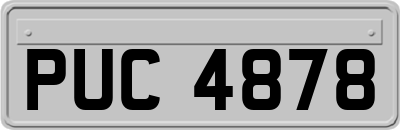 PUC4878