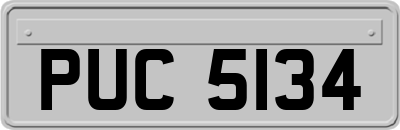 PUC5134